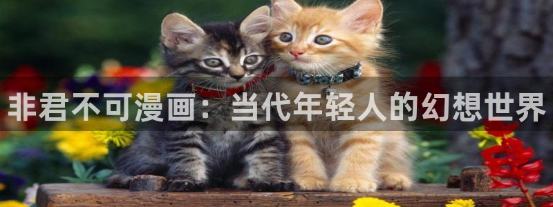 继母韩漫在线观看：非君不可漫画：当代年轻人的幻想世界