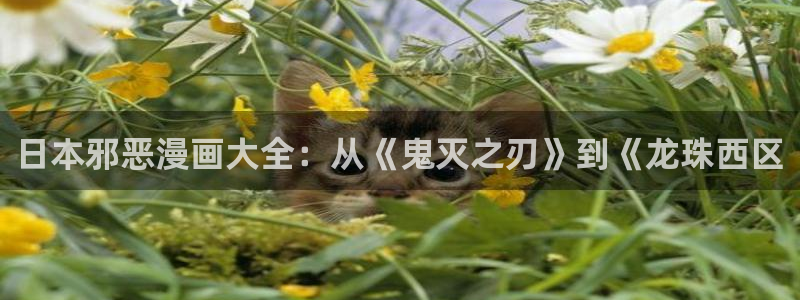 歪韩漫：日本邪恶漫画大全：从《鬼灭之刃》到《龙珠西区