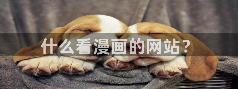 韩漫夫妻游戏漫画：什么看漫画的网站？