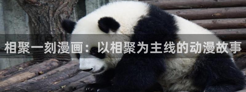 韩漫画无删减：相聚一刻漫画：以相聚为主线的动漫故事