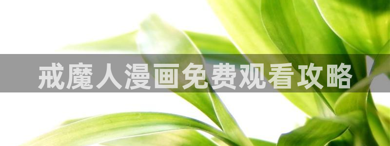 韩漫_韩国漫画：戒魔人漫画免费观看攻略