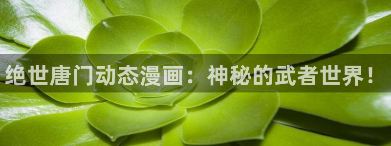 海女韩漫在线观看：绝世唐门动态漫画：神秘的武者世界！