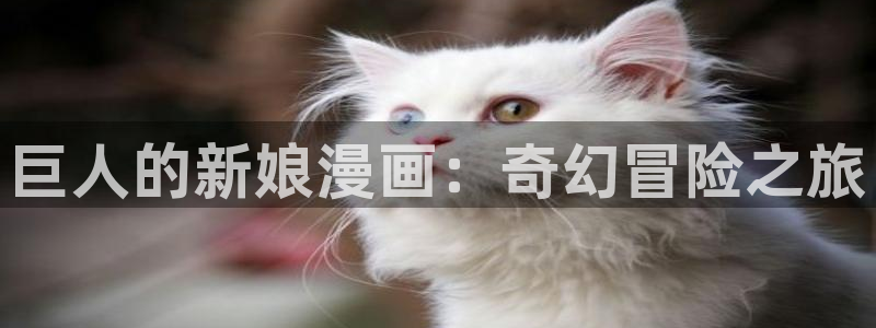 美丽新世界韩漫歪歪漫画：巨人的新娘漫画：奇幻冒险之旅
