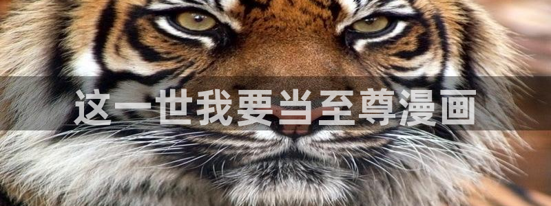 jk漫画韩漫下载：这一世我要当至尊漫画