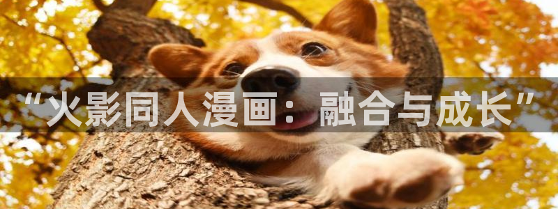看韩漫：“火影同人漫画：融合与成长”