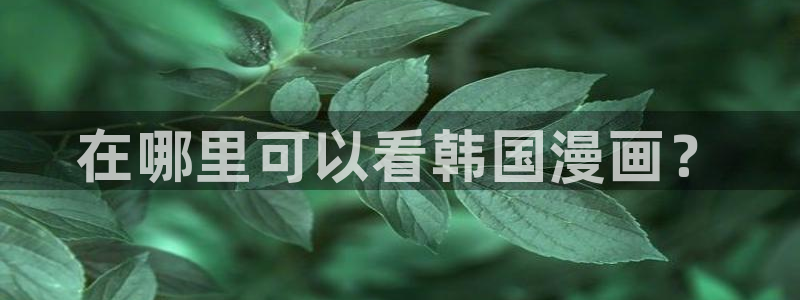韩漫免费在线观：在哪里可以看韩国漫画？