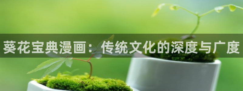 歪歪漫画韩漫官网网站：葵花宝典漫画：传统文化的深度与广度