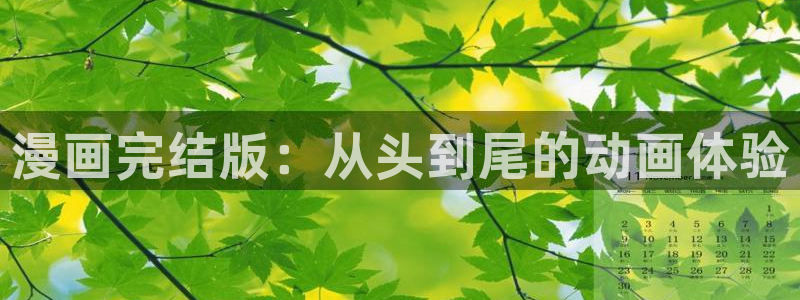 漫画双男主推荐韩漫：漫画完结版：从头到尾的动画体验