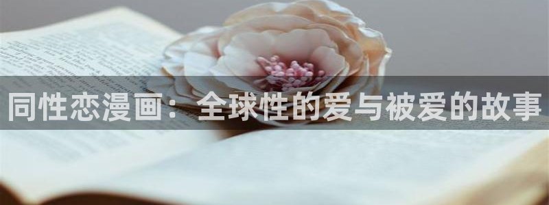 韩漫,网站：同性恋漫画：全球性的爱与被爱的故事