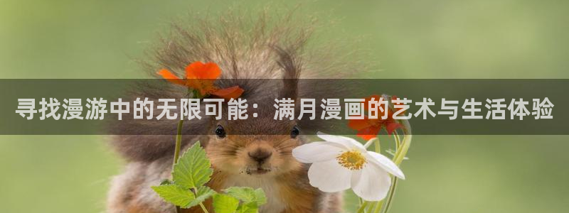 韩漫阿姨在线观看：寻找漫游中的无限可能：满月漫画的艺术与生活体验