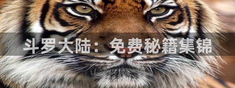 韩漫屋在线观看免费完整版漫画：斗罗大陆：免费秘籍集锦