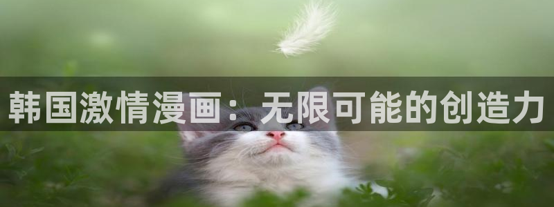 虞美人韩漫漫画下拉式：韩国激情漫画：无限可能的创造力